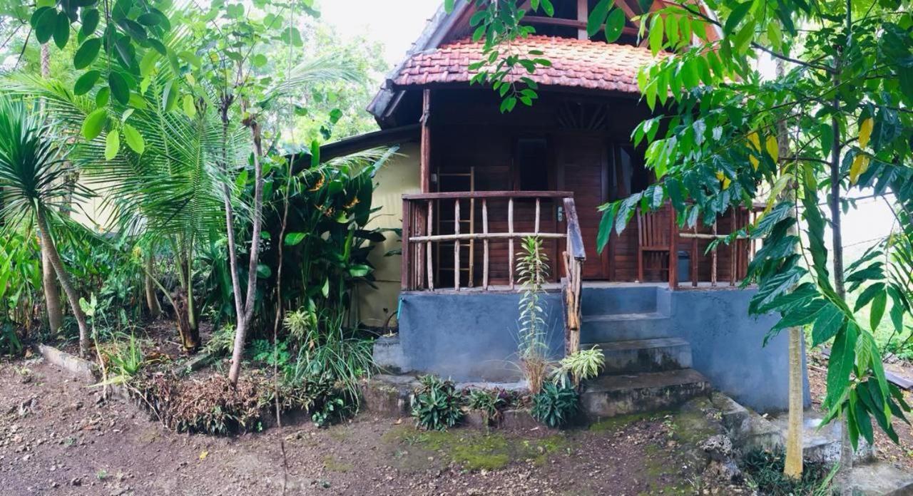 Echo Alam Nusa Lodge Ped Exterior photo